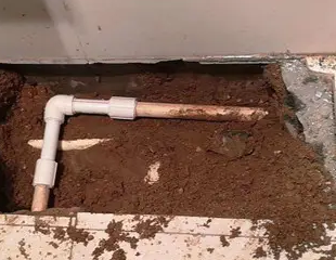 桦川测漏水哪家好