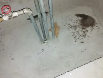 桦川卫生间测漏水价格明细