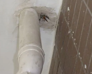 桦川漏水检测哪家好